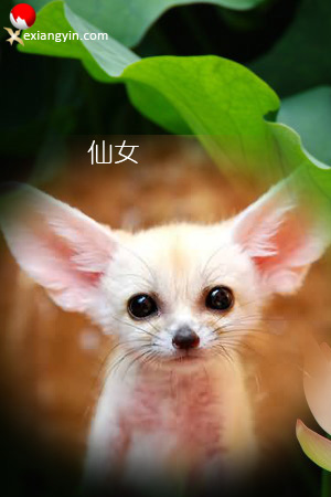 a1h2