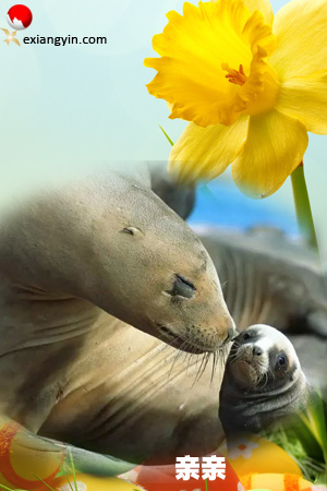 w9c9